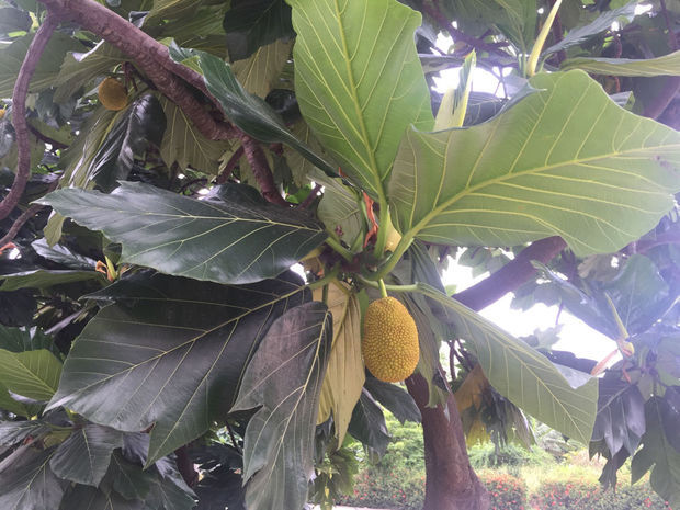 哆啦A夢：大雄的地球交響樂普通話版