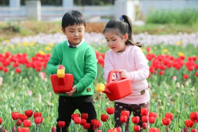 兄弟之仇 视频截图