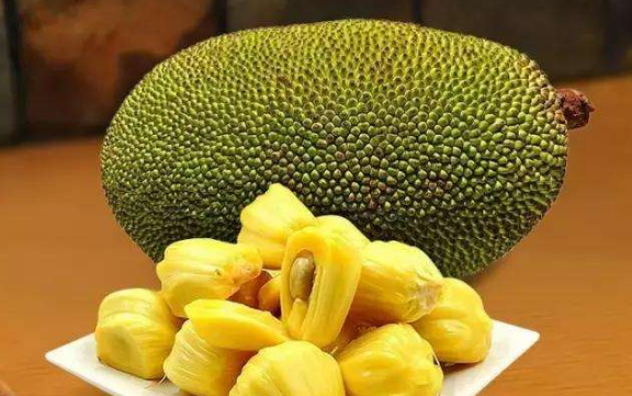 叢林赤子心 视频截图