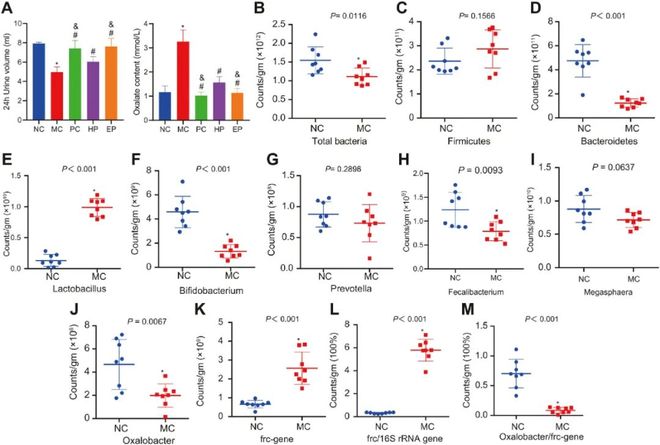 傻冒經理 视频截图