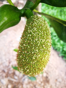 地層下陷（國語版） 视频截图