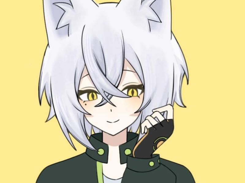 冒牌刺客 产品图片